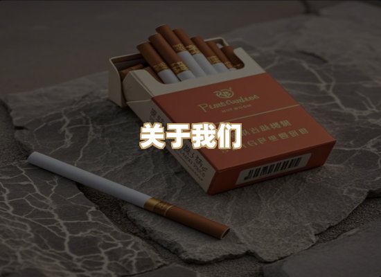 关于云歌烟网